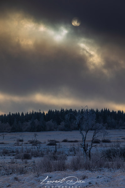 Baraque Michel - Hautes Fagnes (High Fens) Belgique. Canon EOS 5D Mark IV - Canon EF 70-200mm f/2.8 L IS III USM.
