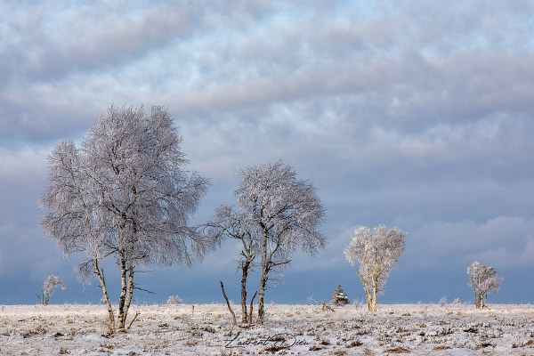 Baraque Michel - Hautes Fagnes (High Fens) Belgique.