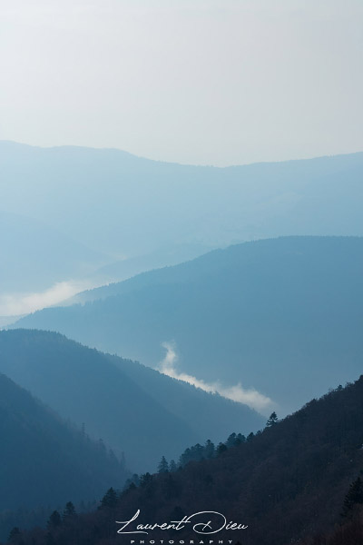 Brume - Hohneck - Vosges - France.